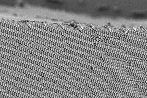 Микрофотография полимерных наночастиц 
